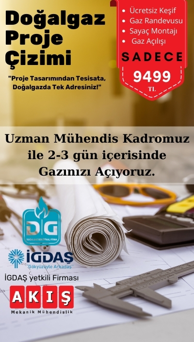 Akış Mekanik Mühendislik Doğal Gaz Proje Çizimi